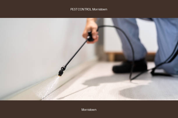 PEST CONTROL Morristown